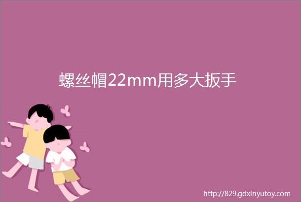 螺丝帽22mm用多大扳手