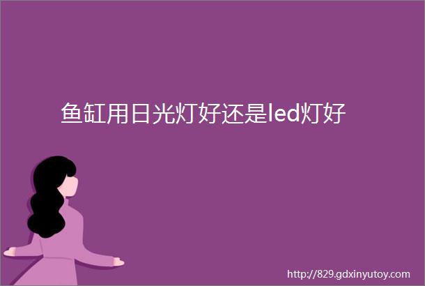 鱼缸用日光灯好还是led灯好