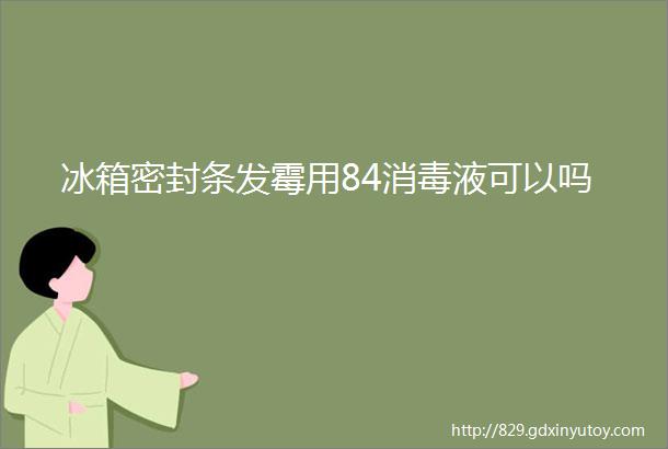 冰箱密封条发霉用84消毒液可以吗