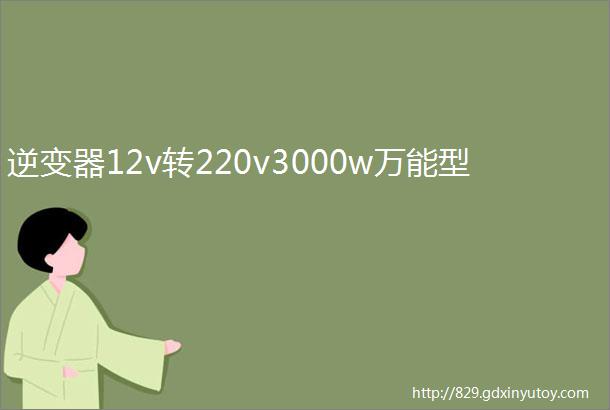 逆变器12v转220v3000w万能型