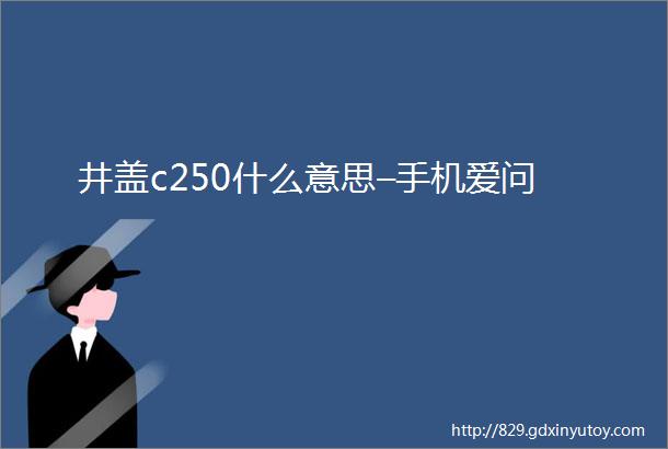 井盖c250什么意思–手机爱问