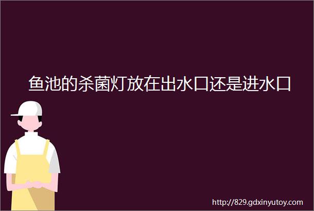 鱼池的杀菌灯放在出水口还是进水口