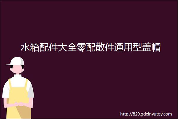 水箱配件大全零配散件通用型盖帽