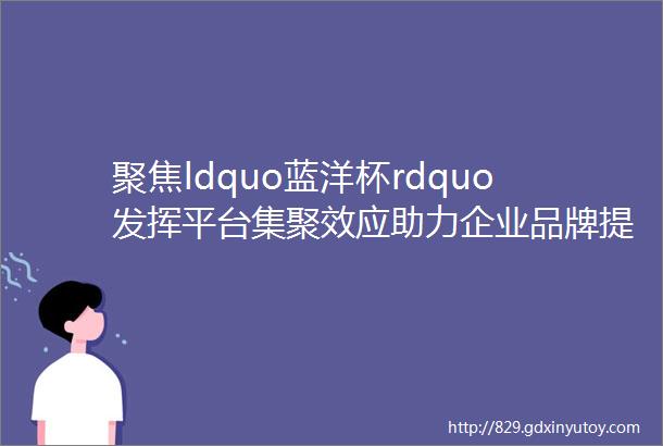 聚焦ldquo蓝洋杯rdquo发挥平台集聚效应助力企业品牌提升