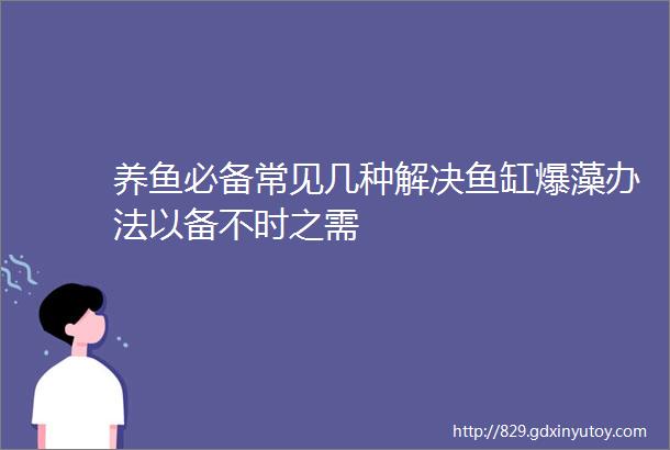 养鱼必备常见几种解决鱼缸爆藻办法以备不时之需