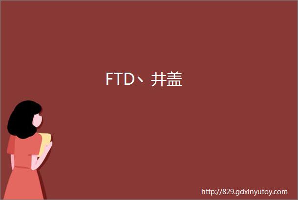 FTD丶井盖