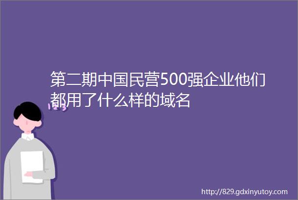 第二期中国民营500强企业他们都用了什么样的域名